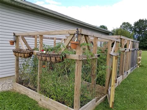 7 Creative Vegetable Garden Border Fence Ideas Food Gardening Network