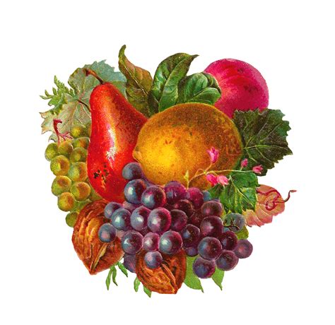Fruit Mix Clipart 20 Free Cliparts Download Images On Clipground 2022