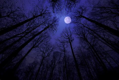 Superluna Azul Cu Ndo C Mo Y D Nde Ver La Ltima Luna Llena De Agosto