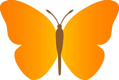 Butterfly Vector Clipart Best