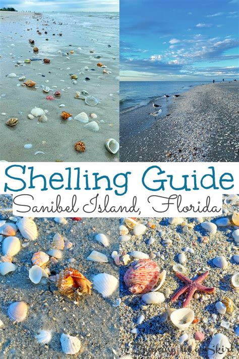 Florida Vacation Spots Florida Travel Guide Visit Florida Florida