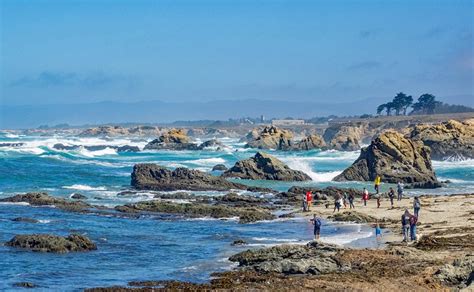 15 Top Rated Things To Do In Fort Bragg Ca Planetware