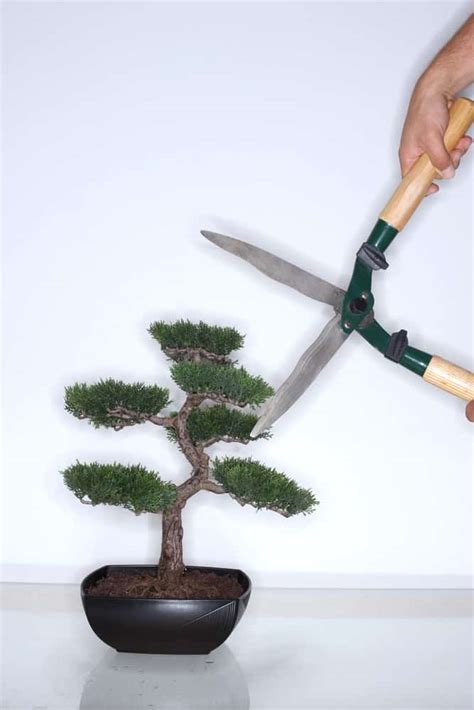 16 Pieces Pruning Scissors Mini For Bonsai Leaf Bud 話題の人気