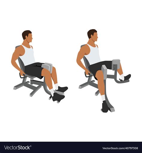 Adductor Adduction Inner Thigh Machine Exercise Vector Image