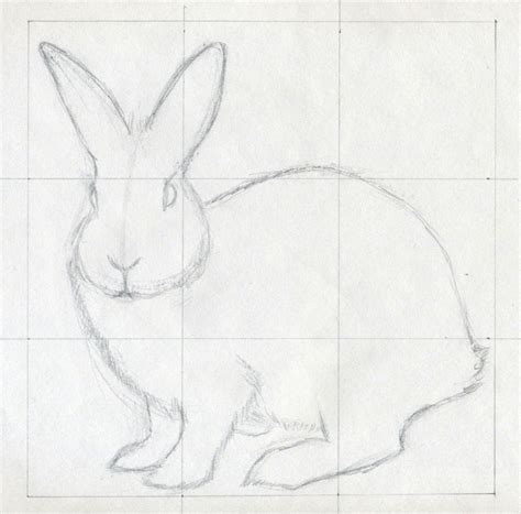 Line Drawing Of A Bunny At Explore Collection Of