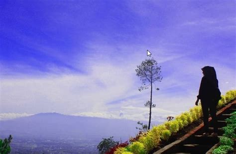 Panorama, bukit cangang kayu ramang, guguk panjang, kota bukittinggi. Harga Tiket Masuk Dan Alamat Bukit Bulu Flower Garden ...