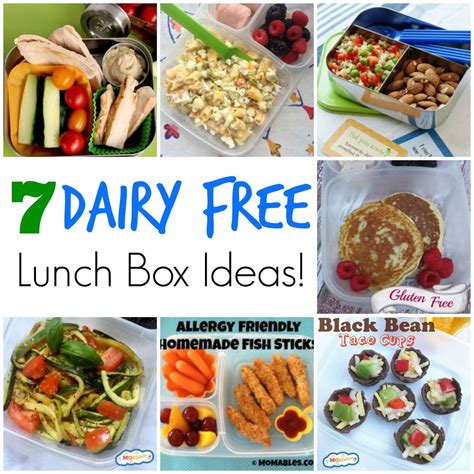 Picky eaters can get anxious about meals, especially if it's a social occasion. 43+ Healthy Food for Picky Eaters | Dairy free lunch ...