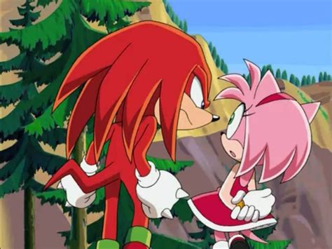 Knuckles The Echidna Amy Rose Sonic The Hedgehog Sonic The Fighters