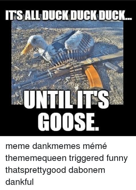 25 Best Memes About Goose Meme Goose Memes