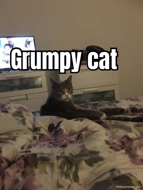 Grumpy Cat Meme Generator