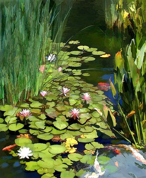 Water Lilies And Koi Pond By Elaine Plesser Pond Painting Water
