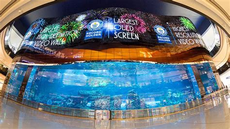 Worlds Largest Oled Screen Unveiled At Dubai Mall Guinness World Records