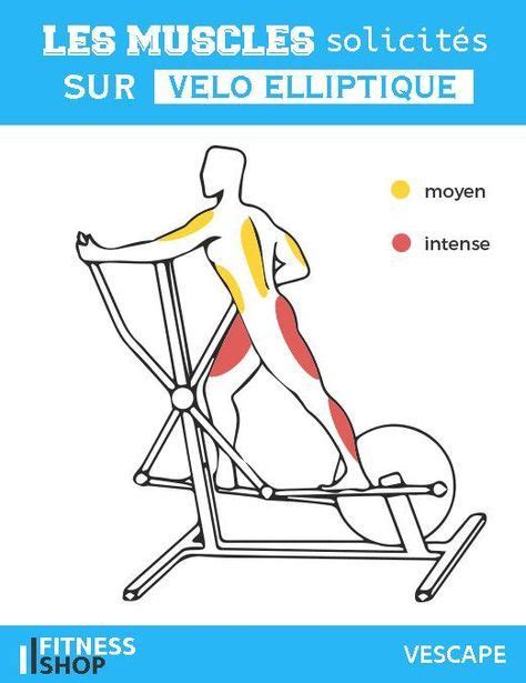 Velo Elliptique Muscles Sollicites Health Wellness Pinterest Workout Fitness And Workout