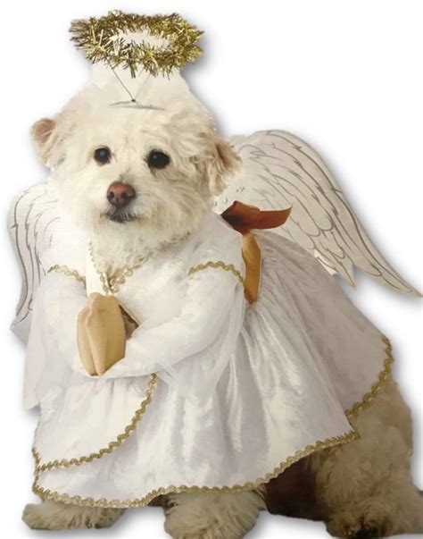 Heavenly Hound Dog Angel Costume Christmas Dress Wings Halo Pup Pet Xs