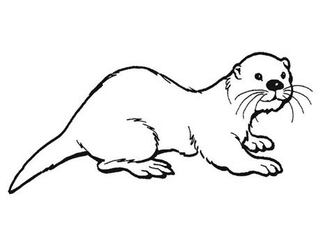 25 Great Image Of Otter Coloring Pages Animal
