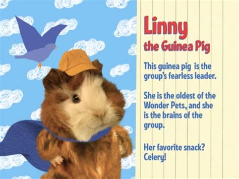 Linny The Guinea Pig Photo Gallery Wonder Pets Childhood Tv Shows