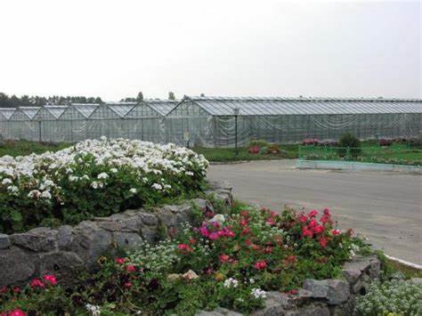 Диет питание воронеж «Воронежский тепличный комбинат», г.Воронеж. Каталог: Овощные консервы «Воронежский тепличный комбинат», г.Воронеж. Каталог: Овощные консервы Диет питание воронеж