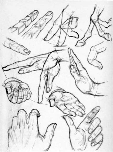 How To Draw Hands Reference Sheets And Guides To Drawing Hands How