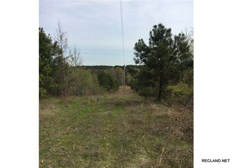 Find river properties for sale at the best price 139.4 ac - Caddo Parish LA Land for Sale - Tyson Rd