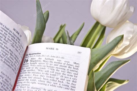 Images bible story images easter cross pictures tomb cross jesus cross images. Images: easter bible verse | Easter Bible Verse and Tulips ...