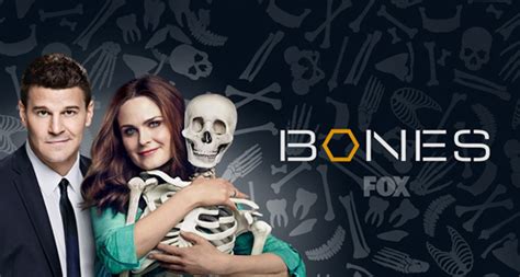 3rd Bones Season 10 Dvd Series Review
