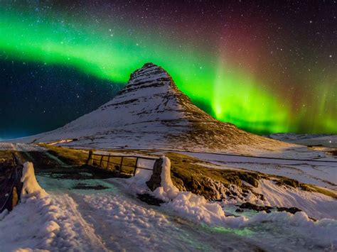 Iceland The Northern Lights And Orcas In The Wild The Independent