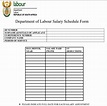 12 Professional Salary Schedule Templates [EXCEL & PDF] - Templates Show