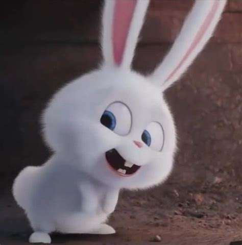 Pin By Snowball On Snowball Cute Bunny Cartoon Cute Cartoon Pictures