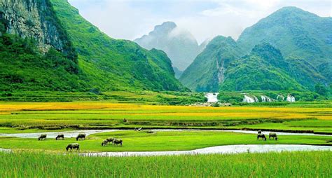 Top Nhiều Hơn 98 Phong Cảnh đẹp Việt Nam Hay Nhất Starkid