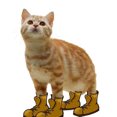 Stream Boots And Cats Music Listen To Songs Albums Playlists For