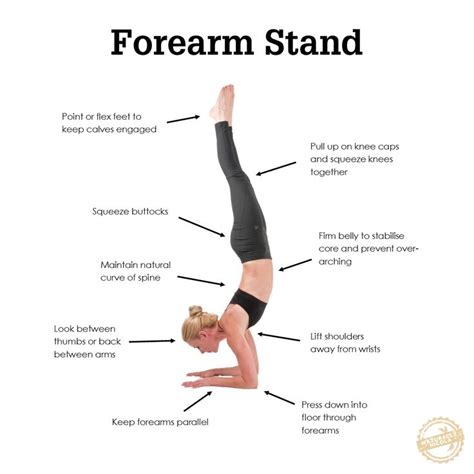 How To Do A Forearm Stand Naturally Nicola Forearm Stand Yoga