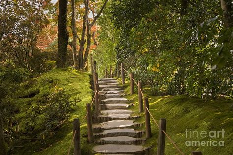 Japanese Garden Steps Photograph By Ei Katsumata