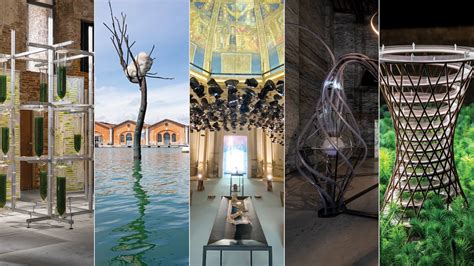 Five Works At Venice Architecture Biennale 2021 Led By Ecologically