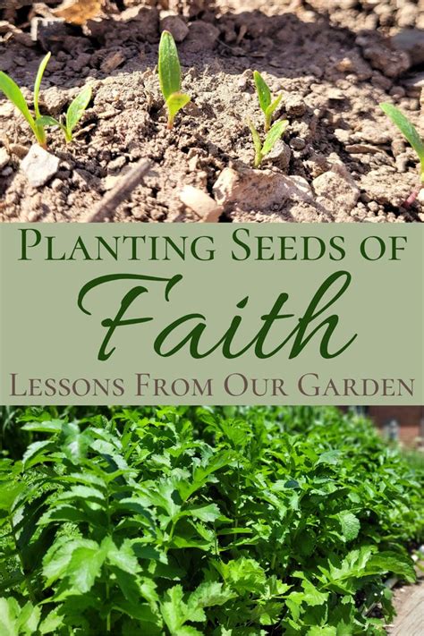 Planting Seeds Of Faith