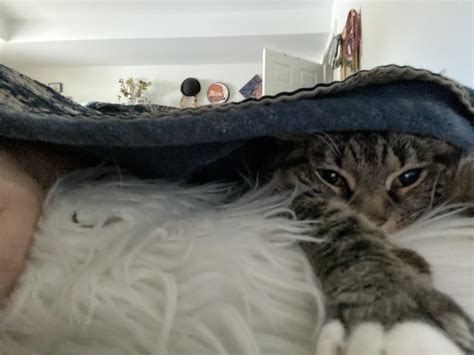 Winter snuggles 🥰 : Eyebleach