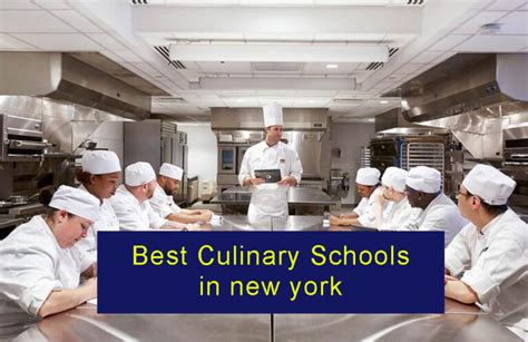 Best Culinary Schools In New York Ny News