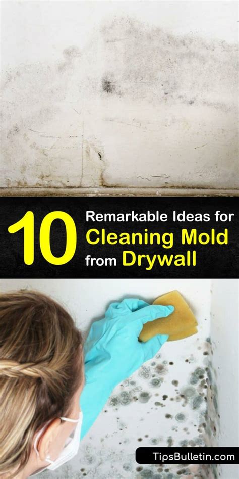 Eliminate Drywall Mold Guide To Remove Mildew From Drywall