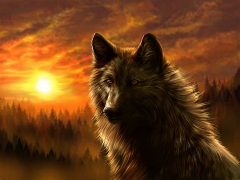 46 Wolf Wallpapers For Windows 10