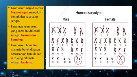 Bab 1 mikroorganisma bab 2 nutrisi dan teknologi makanan bab 3 kelestarian alam bab 4 kadar tindak balas bab 5 sebatian karbon bab 6 elektrokimia bab 7 cahaya dan optik bab 8 daya dan tekanan bab 9 teknologi angkasa lepas. Sains Tingkatan 4 KSSM I BAB 5 I Apakah Kromosom,Gen dan ...