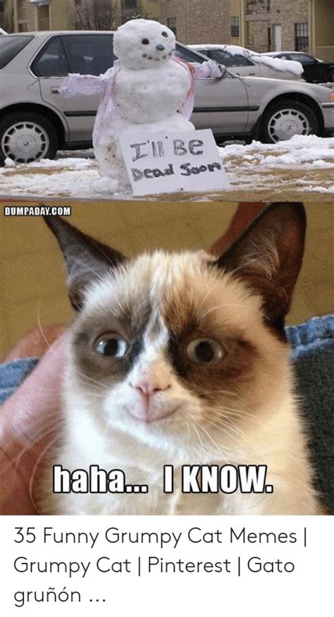 Grumpy Cat Mustache Meme Hussein Chester