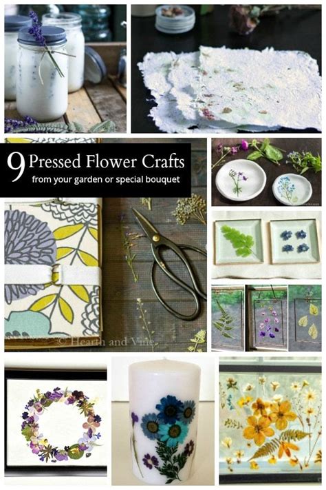 9 Pressed Flower Ideas You Can Easily Make From Your Garden Pressed