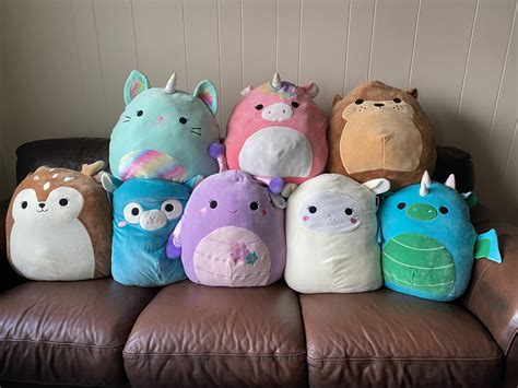 Updated Squish Squad Photo My Walgreens Shipment Came In R Squishmallow