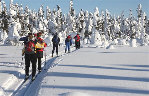 Cross Country Skiing In Lapland Near Rovaniemi