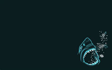 Free Download Minimalist Shark Wallpapers Top Free Minimalist Shark