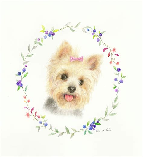 This Yorkshire Terrier In Flower Wreath Is Drawn With Faber Castell