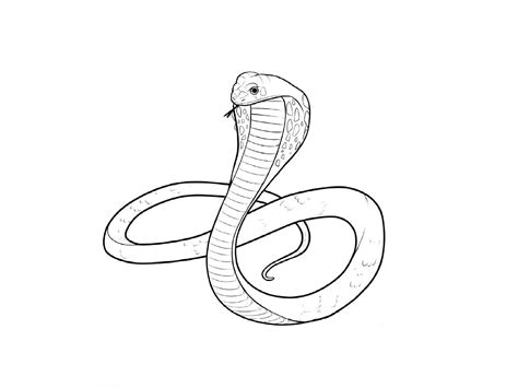 Snake 3d Drawing At Getdrawings Free Download