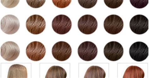 Madison Reed Hair Color Chart Udesignat