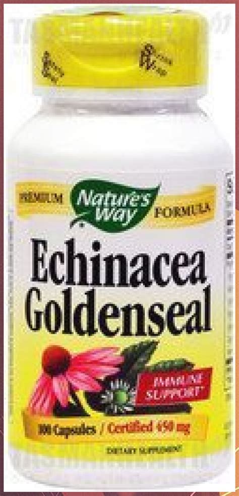 How To Take Echinacea Goldenseal Robert Lopez Kapsels