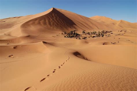 The Sahara Desert Has Grown 10 Percent Since 1920 Yale E360