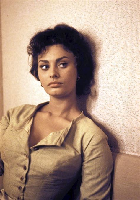 Classic Actresses Beautiful Actresses Divas Sophia Loren Images Old